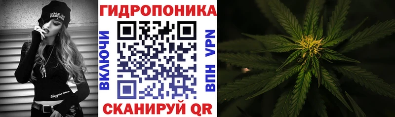 гидра как зайти  закладка  Новоалександровск  Конопля гибрид 
